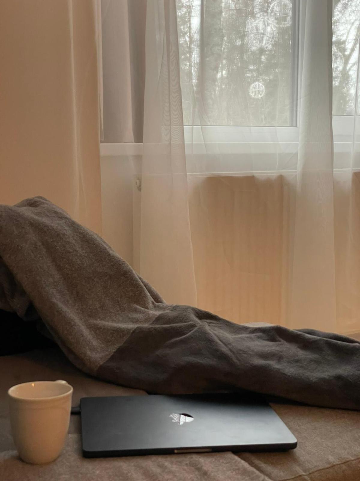 Taikos Apartmentai 2 Druskininkai Luaran gambar
