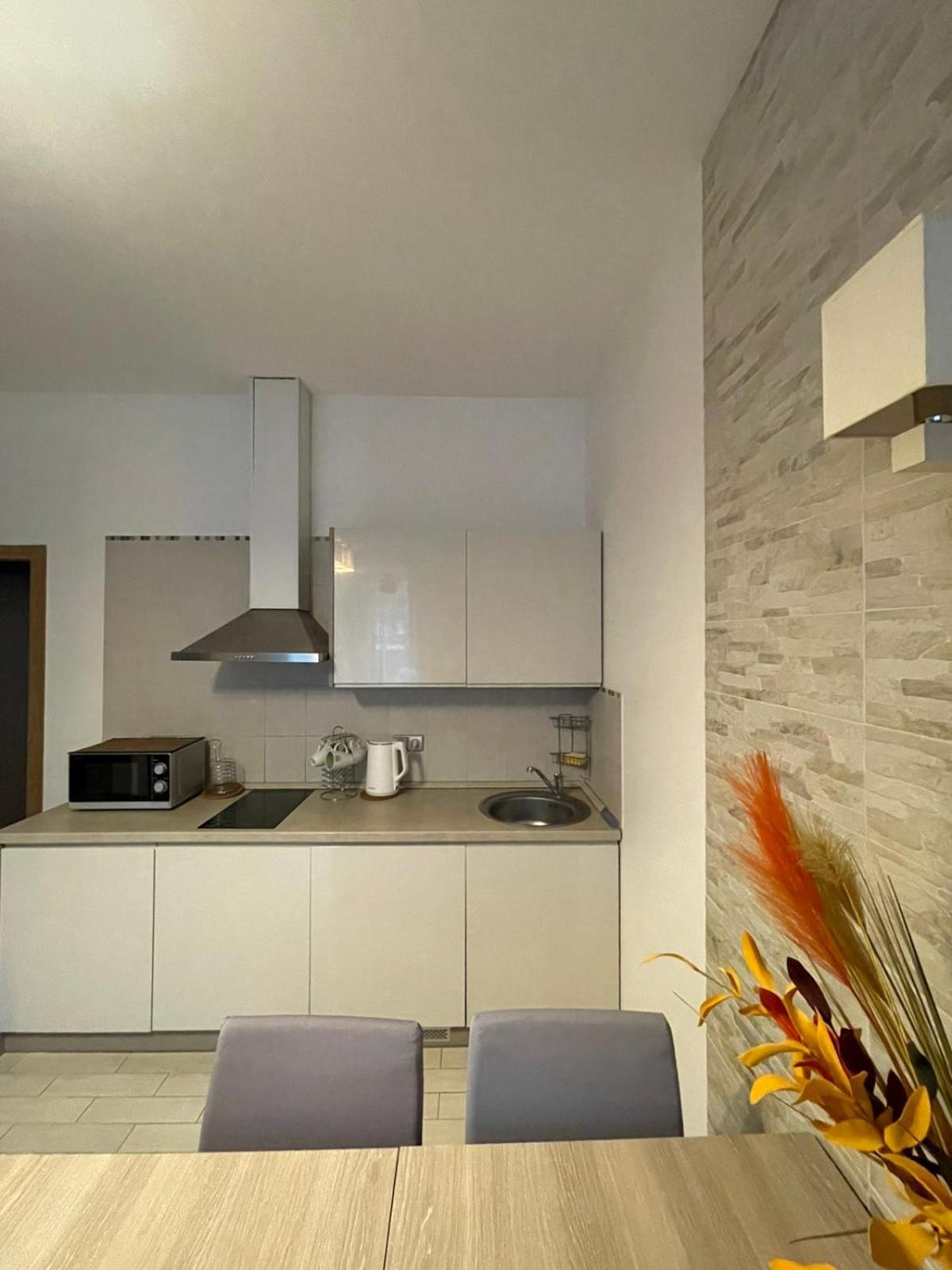 Taikos Apartmentai 2 Druskininkai Luaran gambar